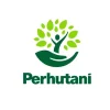 Perum Perhutani